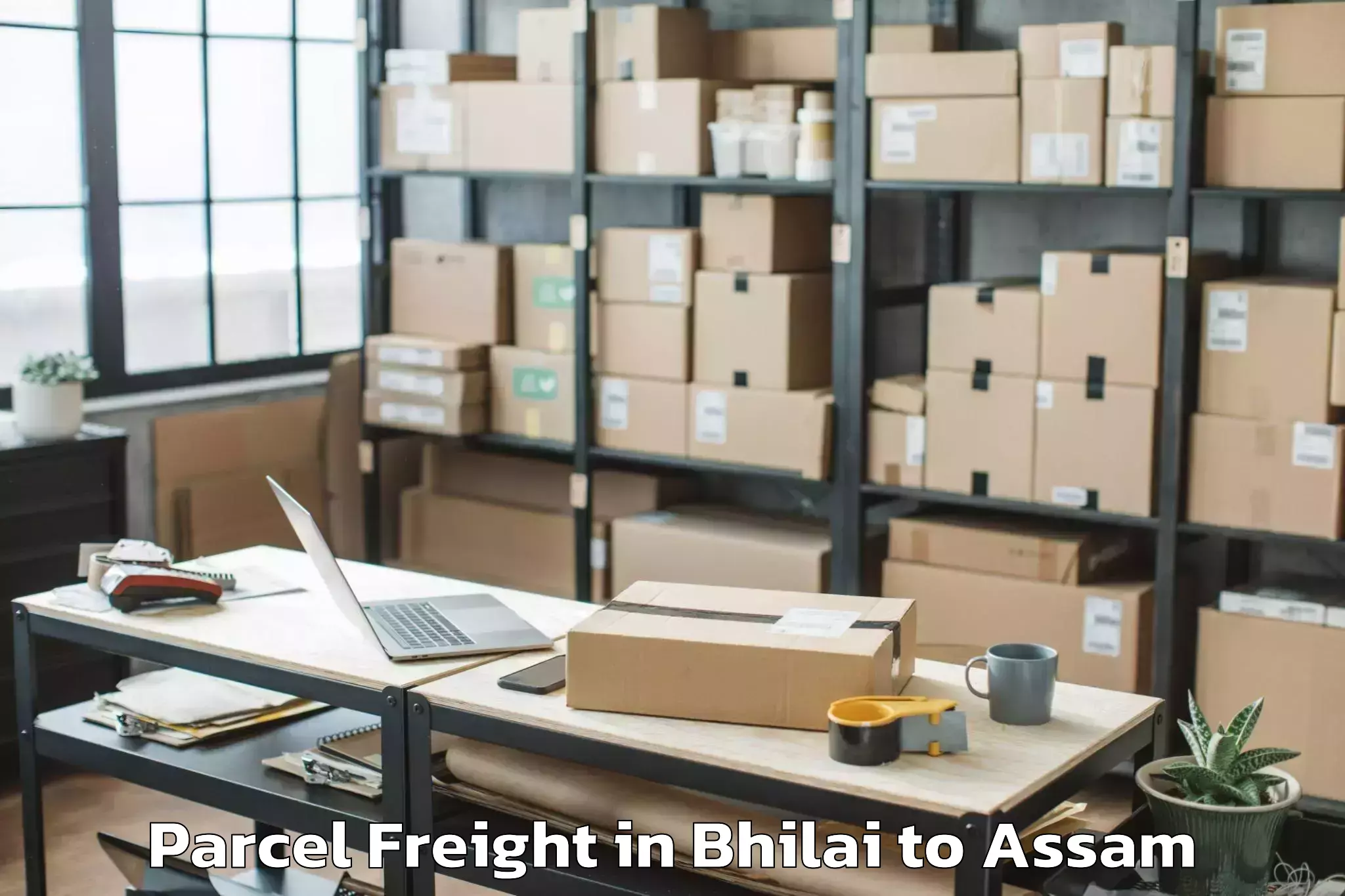 Quality Bhilai to Gossaigaon Pt Parcel Freight